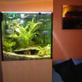 300 Liter Aquarium